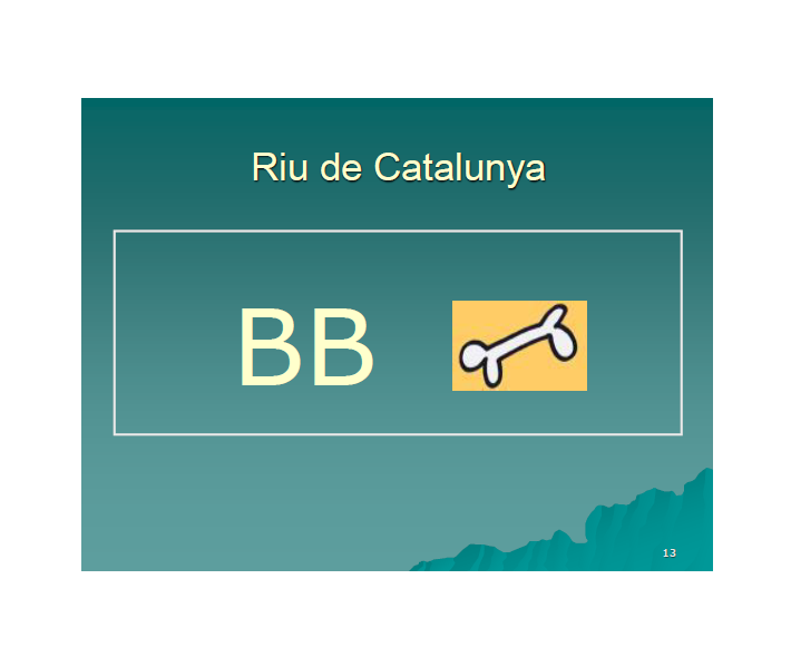 Riu de Catalunya